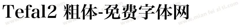 Tefal2 粗体字体转换